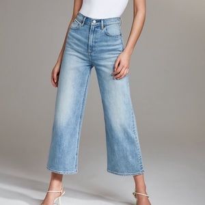 Aritzia Denim Forum Joan Wide Leg Jeans